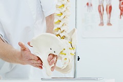 Radiologe veranschaulicht Ergebnisse der Osteoporose-Untersuchung am Skelett